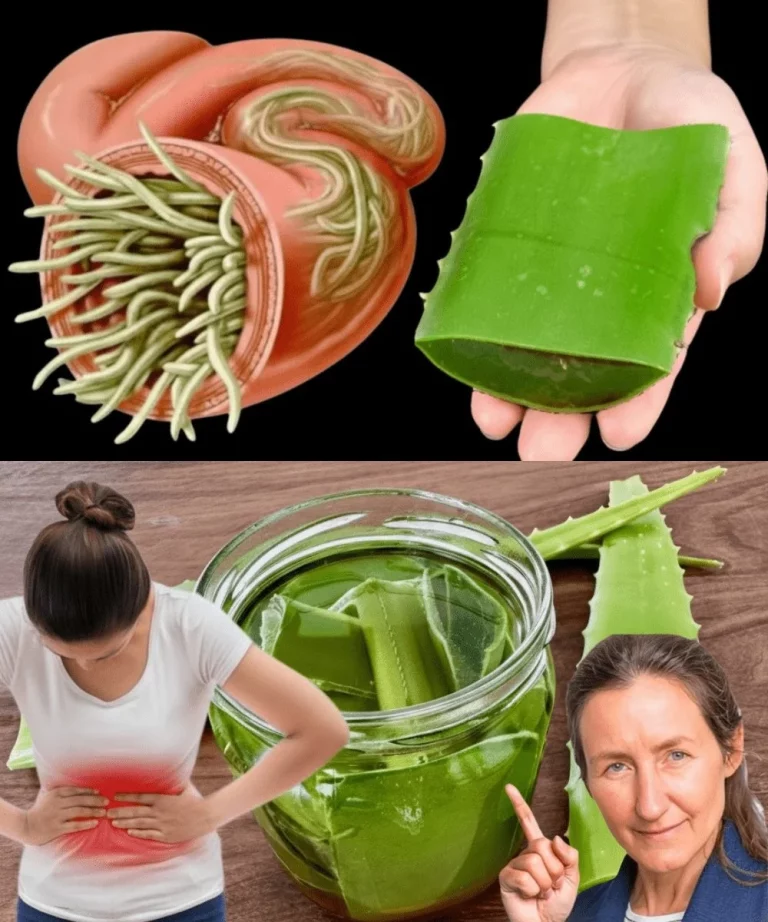 Tonico all'Aloe Vera per cura della pelle e idratazione