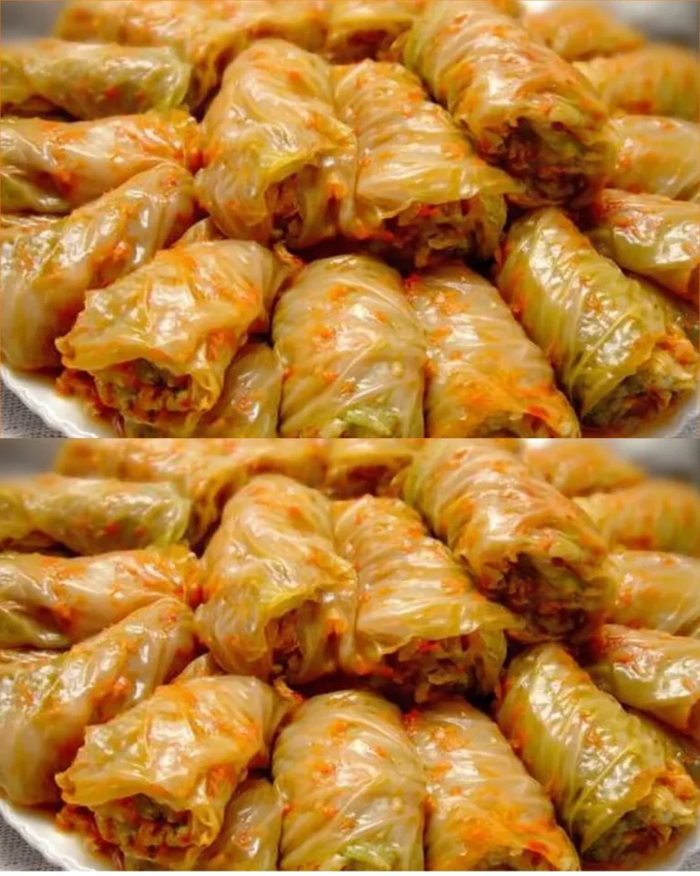 Involtini di cavolo ripieni di carne e riso, piatto tradizionale italiano.