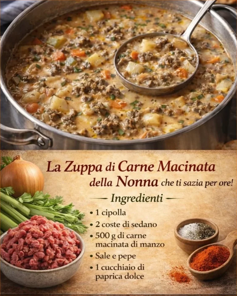 Zuppa di carne macinata della nonna in una ciotola con erbe fresche